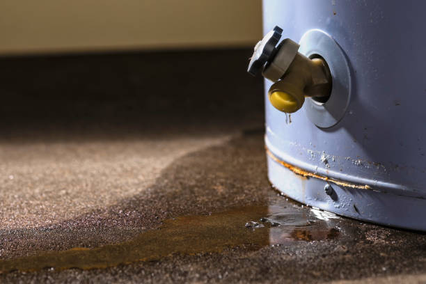 Water damage restoration mold remediation in Harriman, NY