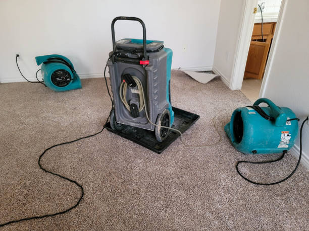 Best Flood damage cleanup  in Harriman, NY