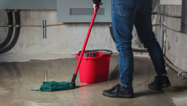 Best Ceiling water damage repair  in Harriman, NY