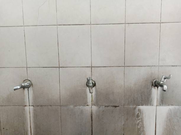 Best Fire Damage Restoration  in Harriman, NY