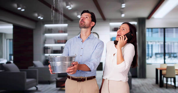 Best Flood restoration services  in Harriman, NY