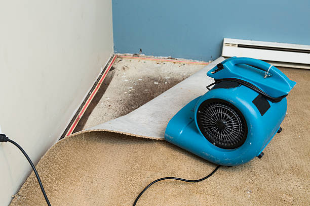 Best Water damage restoration cost  in Harriman, NY